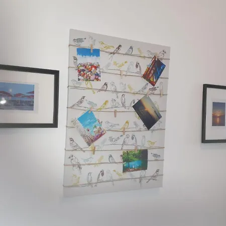 Clausstudio Onix Blue Mamaia Nord Lejlighed *